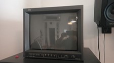 Monitor JVC TM150