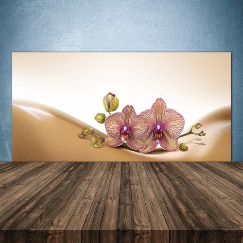 Paraschizzi cucina 140x70 - paraschizzi,