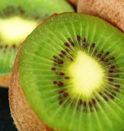 Kiwi solo autofertilizzante - kiwi,
