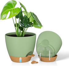 Vaso per Piante Da 25 Cm Con