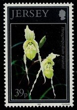 MAGLIA 629 - Orchidee