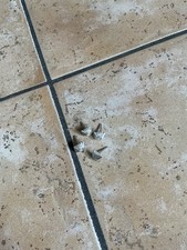 Quattro pin per gradi - per, waffen