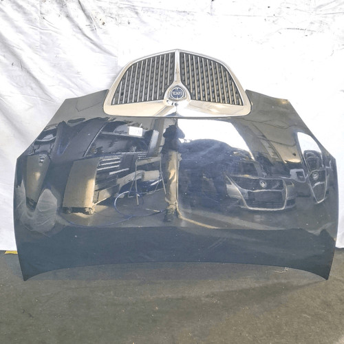 51872629 cofano ant lancia - cofano,
