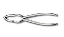 Schiaccianoci rompinoci per