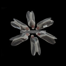 Matrice distale anteriore