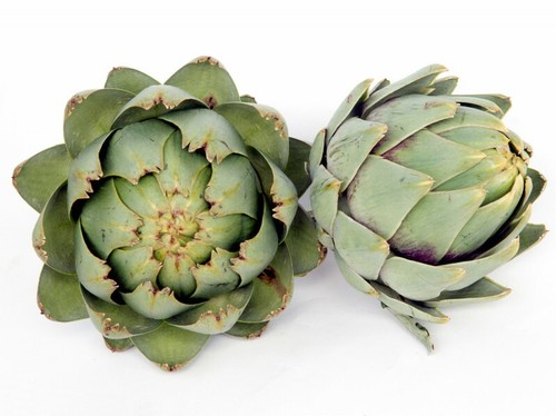 Carciofi verde seme - 20,
