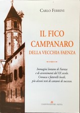 Carlo Ferrini - Il fico