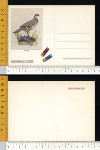 45058 serie cartoline - serie, 10
