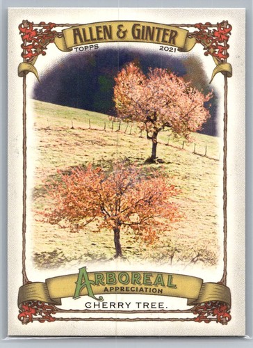 2021 topps allen ginter - allen, &