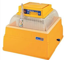 Incubatrice Analogica