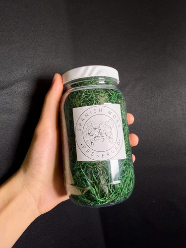 Muschio spagnolo verde