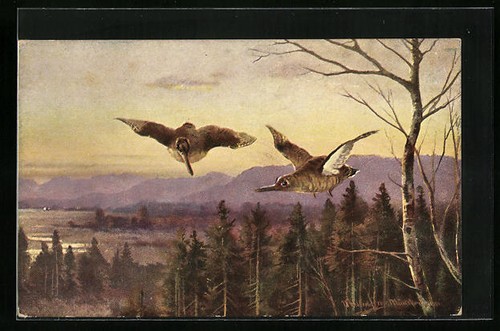Cartolina artistica due - cartolina,