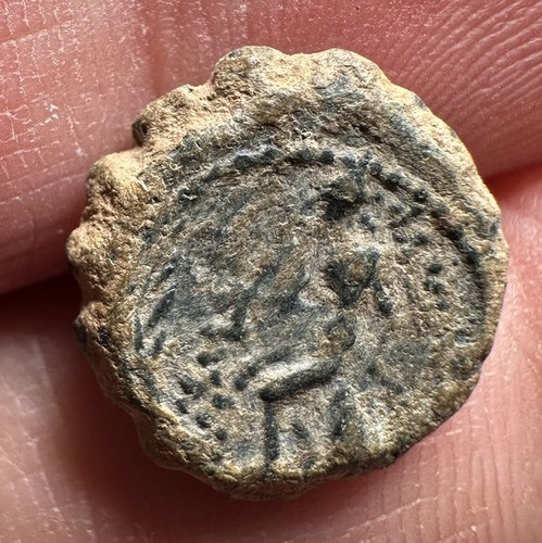Moneta greca antica alcuni