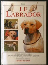 LE LABRADOR ROSSI VALERIA