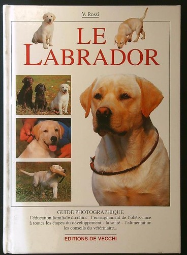 Labrador rossi valeria - le,