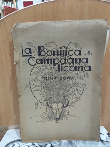 Bonifica della campagna - bonifica,