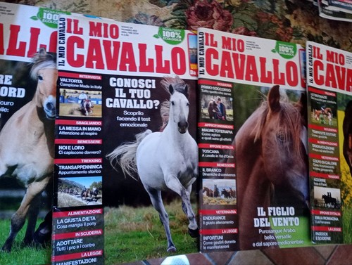 Mio cavallo 2024 - cavallo, numeri
