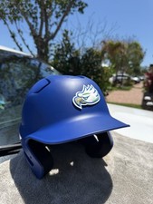 FLORIDA GULF COAST EAGLES
