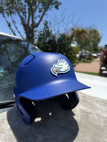Florida gulf coast eagles - gulf,
