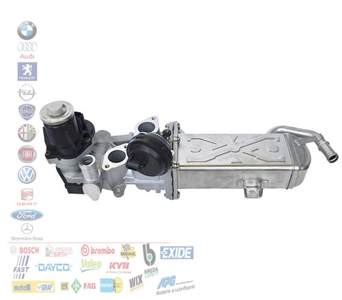 Modulo valvola egr - modulo,