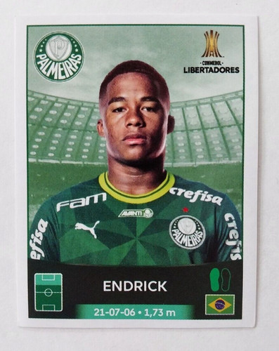 Set adesivi endrick - endrick, rookie