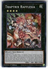 Traptrix Rafflesia Super Rare