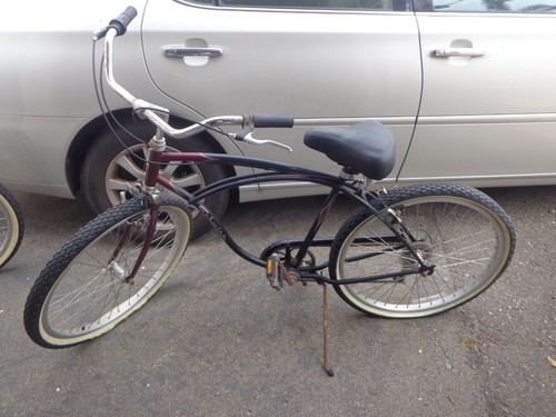 Due 100 anniversario - anniversario, schwinn
