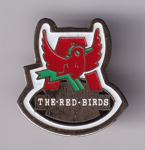 Rare pins pin sport rugby - rare, pin's