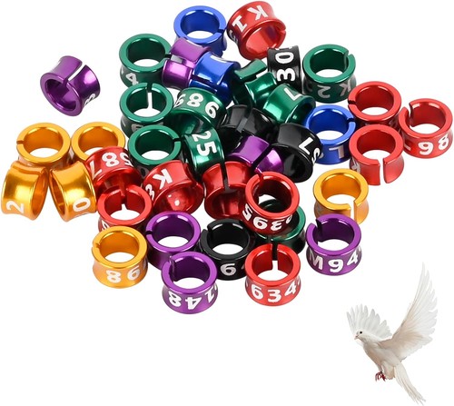 Pezzi cavigliera aperta - cavigliera,