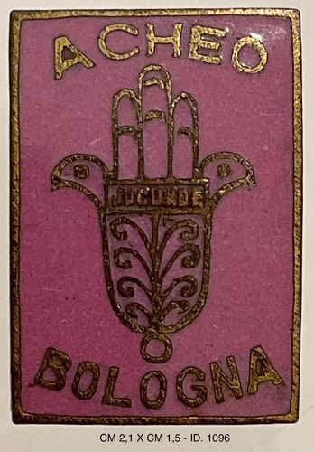 Bologna acheo jucunda - bologna,