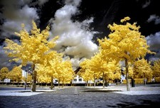 Filtro infrarossi 680nm 55mm