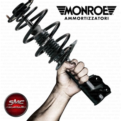 Ammortizzatori posteriori - ammortizzatori,