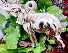 Bellissimo elefante rivestito