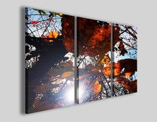 Quadri moderni fiori Mirroles foliage stampe canvas