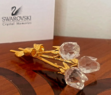 Swarovski Crystal Memories