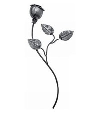 Rosa con foglie fiore