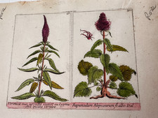 Piatto originale XIX secolo