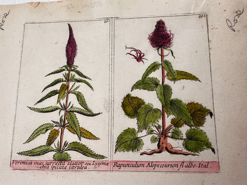 Piatto originale xix - xix, secolo