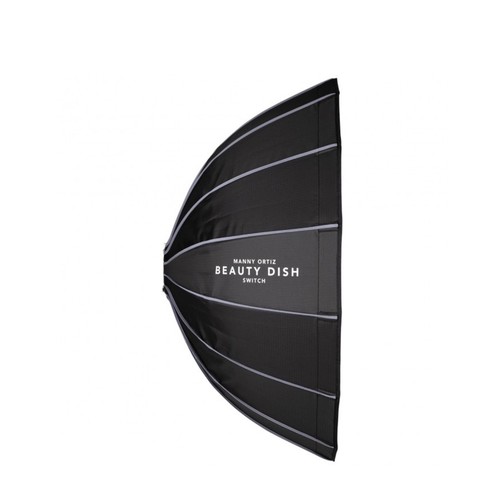 Westcott beauty dish - dish, switch