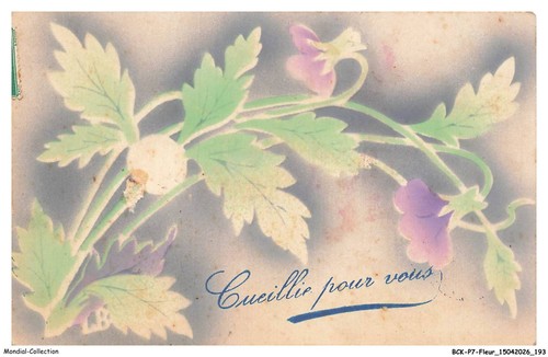 Bckp7 0509 fleur - bckp7-0509-fleur,