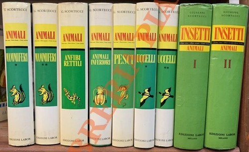 Animali come sono - come, dove