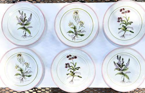 Piatti insalata primula - piatti,