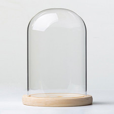 Campana a Cupola in Vetro Con Base a Venature Del Legno, Espositore Trasparente 