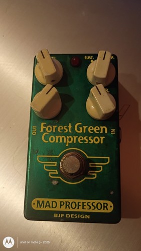 Mad professor forest - professor, green