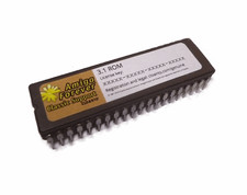 Kickstart ROM con licenza 3.1