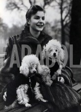 Foto vintage 1954, Barboncini con pelliccia, Stampa 21 x 15 cm