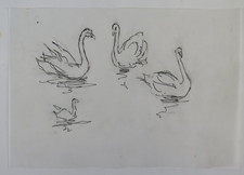 DISEGNO SU CARTA DA LUCIDO CON STUDIO PER ANIMALI CIGNI UCCELLI BOZZETTO DR4