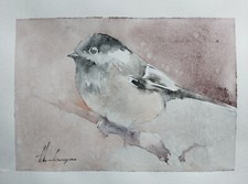 Chickadee, uccellini, opera