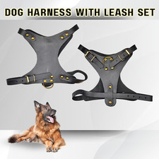 Imbracatura per cani - Pitbull