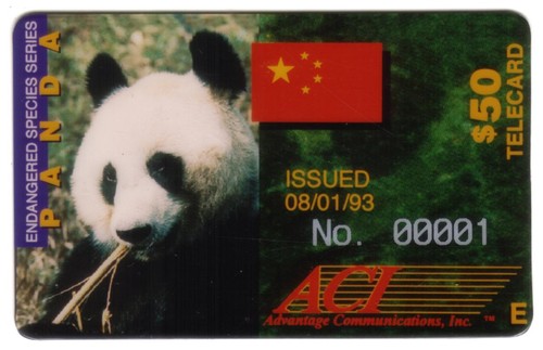 Panda gigante endangered - gigante,